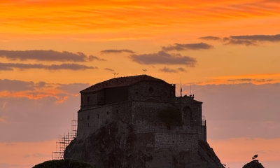 07, 14, 28 Şubat 2026